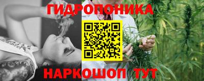 jwh Будённовск