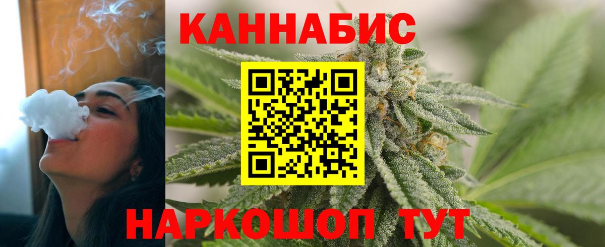Бошки Шишки планчик Полысаево